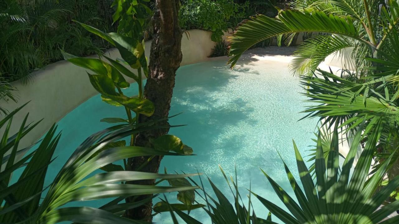 New Luxury Suite Con Plunge Pool Privado Tulum Ngoại thất bức ảnh